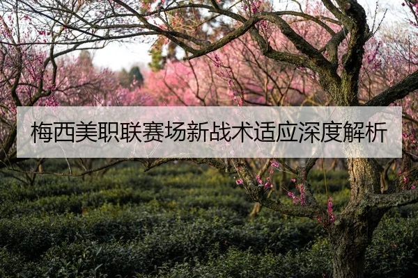 梅西美职联赛场新战术适应深度解析